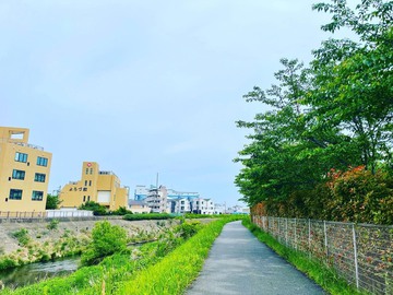 ブラシが刺さった木？
