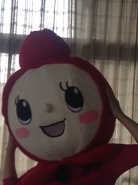 お休みのお知らせ