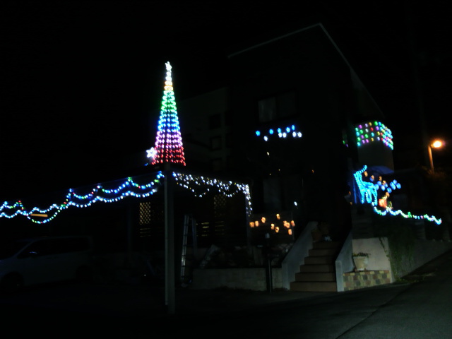 うふっ、今年も綺麗だわ！