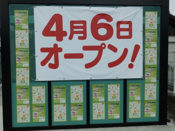エコ