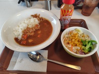すき家で520 円のお昼ご飯