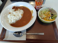 すき家で520円のカレーランチサラダセット