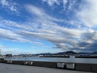 広島②日目 宮島で牡蠣を食べる