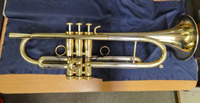 monette LTJ