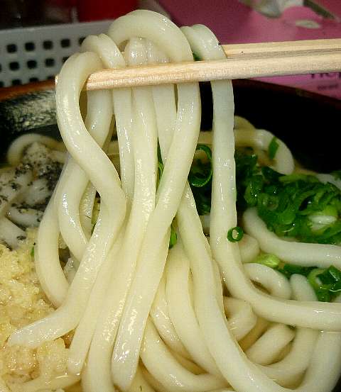 今日のうどん　日曜日　