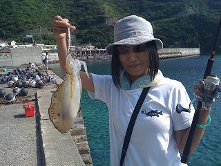 由良半島