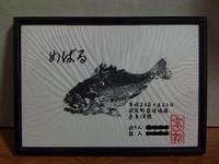 目の玉 (魂)