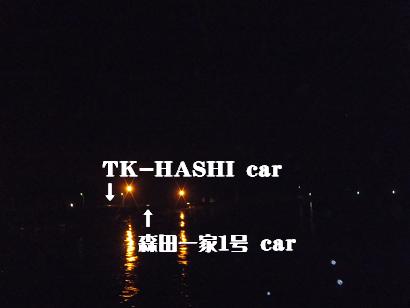 タヌキの悪足掻き