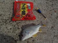 四苦八苦