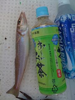 Sea Day ～キス編～