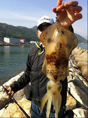 楽園探検隊