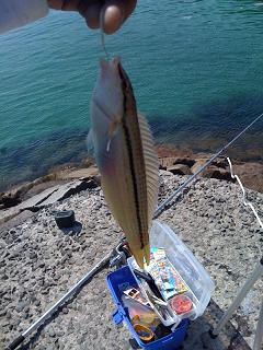 投げ釣り
