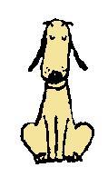 盲導犬はお仕事中です