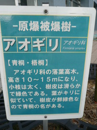 この木なんの木～？