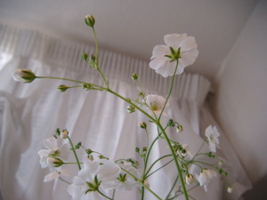 今できること・・・