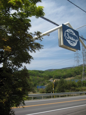 ハヤシライス