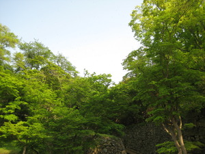 黄緑と黄色の５月