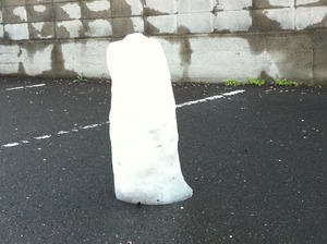 凍りついた瞬間！