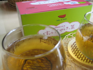 ロハス村潜入レポ