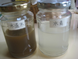 ロハス村潜入レポ