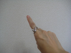 この指とまれ♪