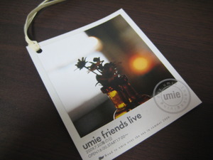 umie friends live