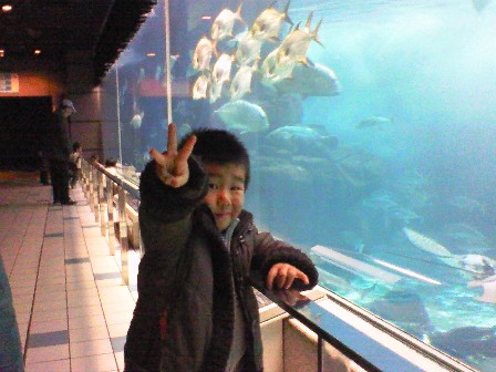須磨海浜水族園