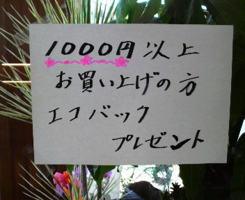 いい旅、麺気分(お土産編)