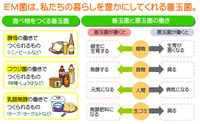 ＥＭ菌を勉強中