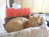 ２年でこんなに大きくなりました。