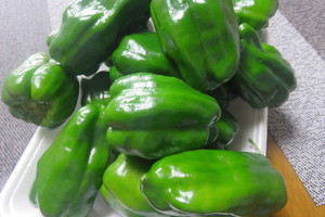 新鮮野菜収穫