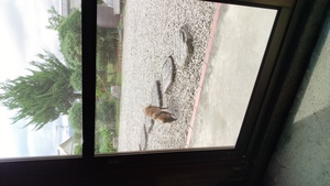 びっくり！