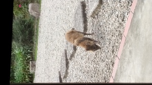 びっくり！