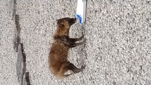 びっくり！