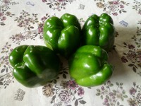野菜の収穫