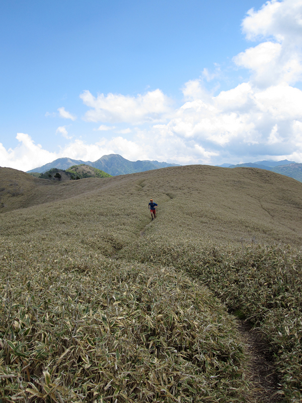 Enjoy Trail Running