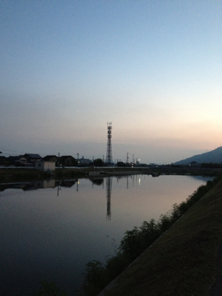 本日の収穫120905