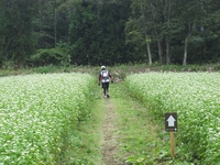 信越五岳トレイルランニングレース2009