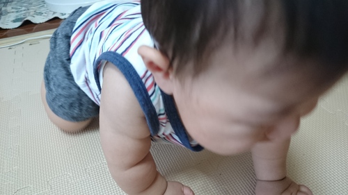 今日の僕