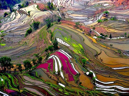 世界に存在する絶景が凄い！