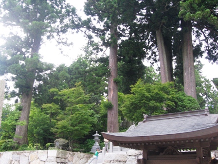 西へ西へ♪②