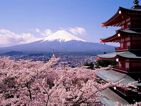 これぞ日本！って画像