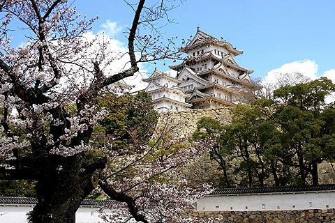 これぞ日本！って画像
