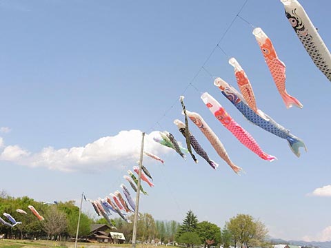 これぞ日本！って画像