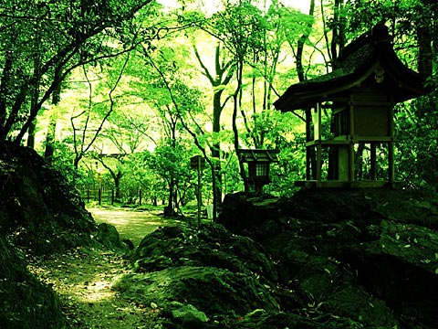 これぞ日本！って画像