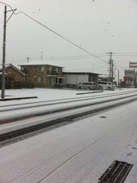 琴平大雪っす(´・ω・`)