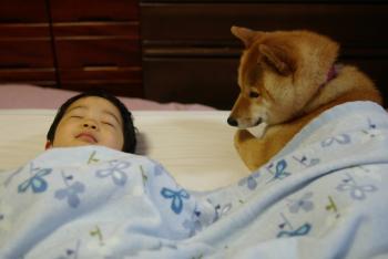 シュールな動物達２～