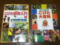 やっちゃった