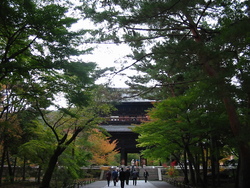 紅葉の京都