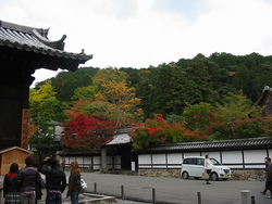 紅葉の京都